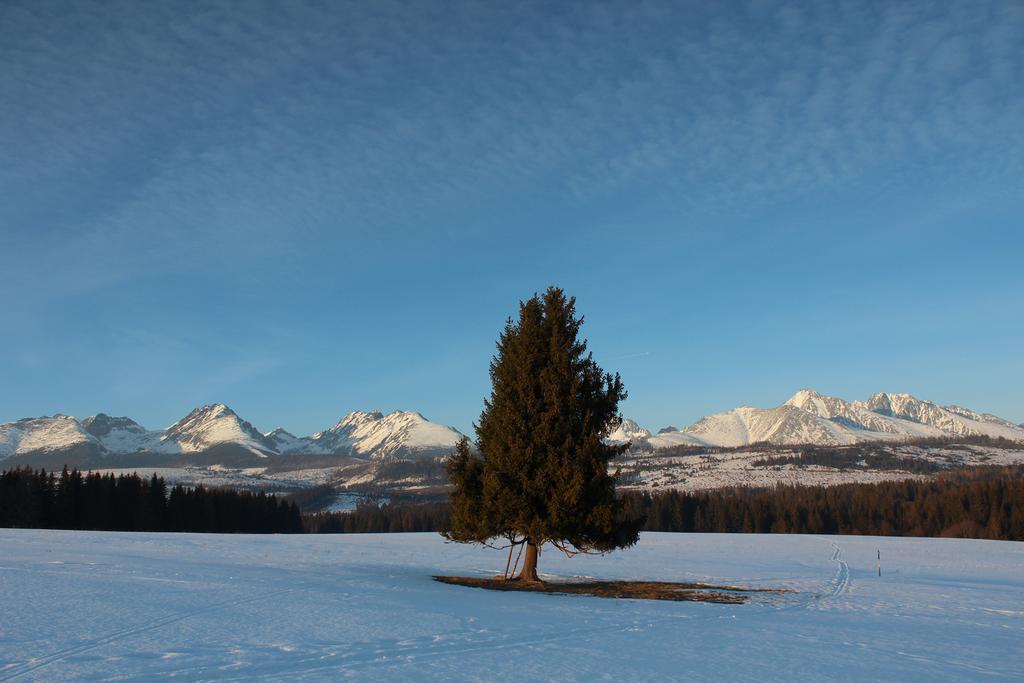 Chaty Tatra Татранска-Штрба Экстерьер фото